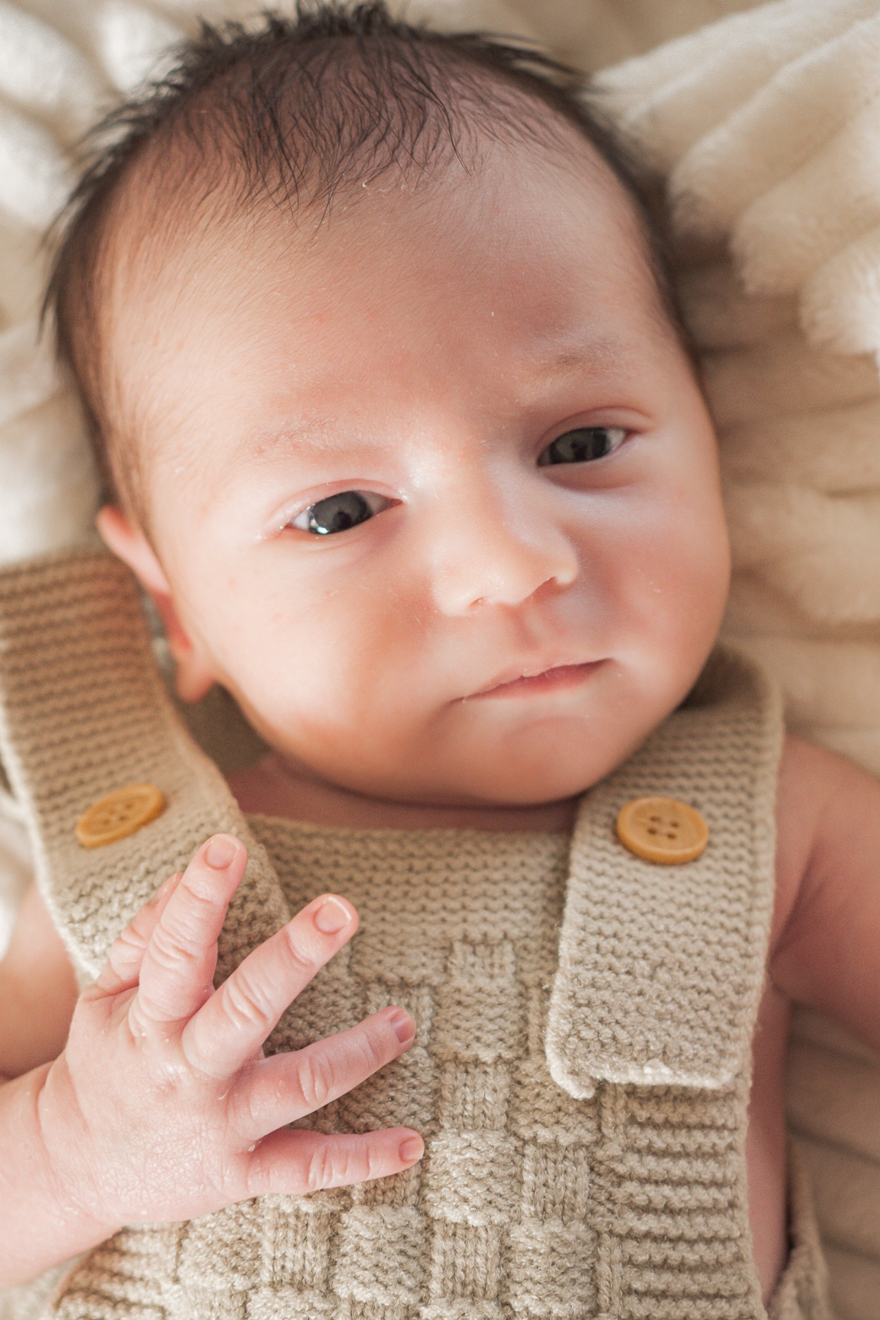 newbornshoot aan huis Diest